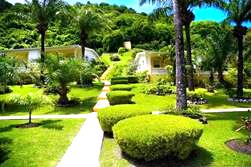 Blue Horizons Garden Resort - Grenada. 